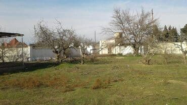 ev masazir: 24 sot, Makler, Kupça (Çıxarış) — 2