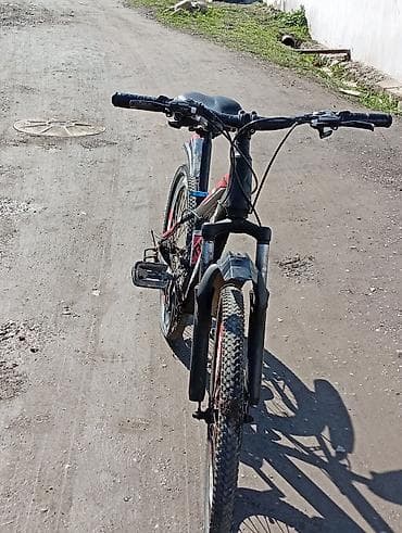 Şəhər velosipedləri: ANNMEIER dağ velosipedi - Çərçivə: yüngül alaşımlı, idman dizaynı — 3