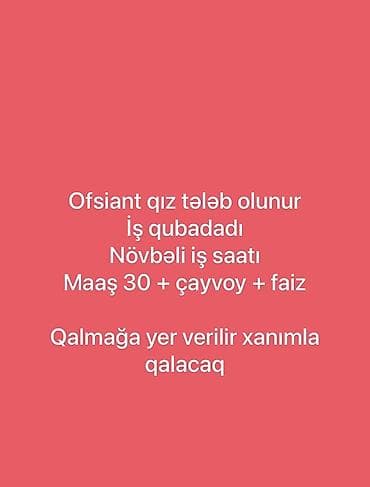 Əməkdaş axtarışı (vakansiyalar): Ofisiant tələb olunur, Gündəlik ödəniş — 1