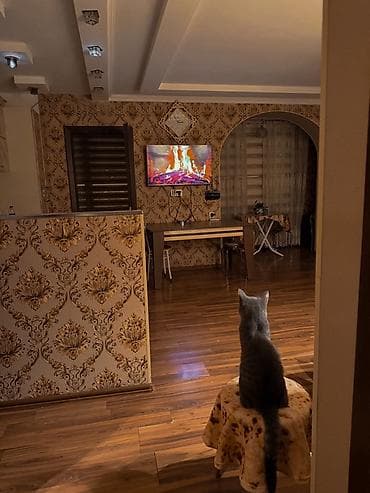 самка: Manzil 20 Yanvar metrosuna 5 daqiqalik piyada mesafesinda yerlaşir — 9