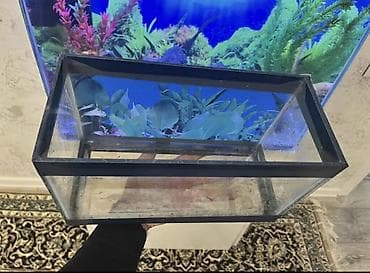 Gəmiricilər: Dördbucaq akvarium, Boş, 7 l, Ödənişli çatdırılma — 1