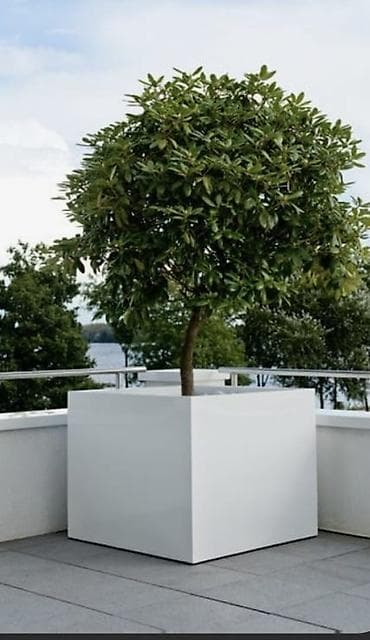 Müasir dizaynlı iri kvadrat dekorativ güvəc - Forma: kvadrat