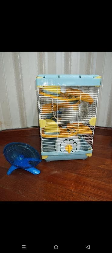 qefes boyuk: Dəbilqəli hamster üçün çoxmərtəbəli qəfəs dəsti - Rənglər: açıq mavi — 1