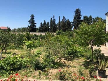 ev certiyojları: 170 kv. m, 6 otaqlı — 27