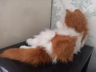 Heyvanlar: Plyuş pişik oyuncağı – realist dizayn - Növ: yumşaq plyuş pişik — 2