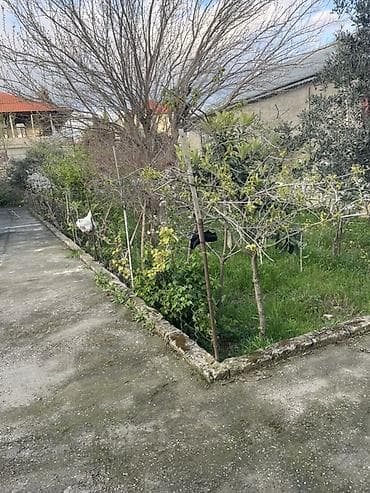 veles agaci: Salam.4.5 sot merkezi yoldan 2 deqiqelik mesafede asfalt — 6
