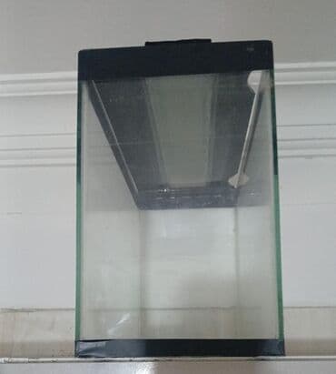 аквариум баку: Akvaryum barter edirem baxır TƏKLİFƏ. Ev üçün ofis üçün ela — 2