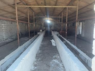 arenda donər evi: Mal-qaranın saxlanması üçün hazır ferma/binə kompleksi - Daş divarlı — 6