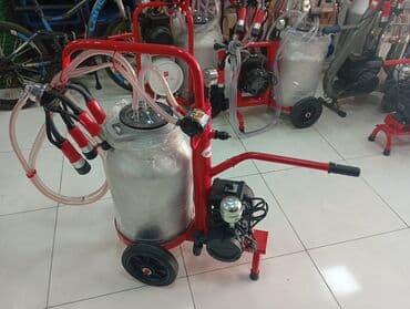 İnkubatorlar: Tək bidon, Türkiyə, Zəmanətlə — 8