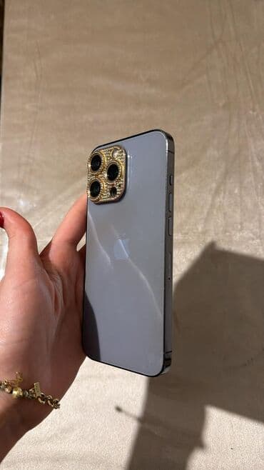 Lincoln: IPhone 13 Pro, Space Gray, Face ID — 1