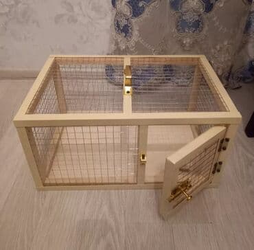 клетки для морской свинки: Cücə,dovşan,it,bildirçin,şinşila,tisbaga,pişik, quş ve s. Heyvanlar — 1