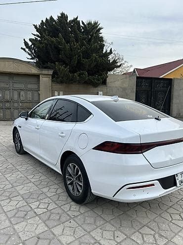 multi rullar: BYD Qin Plus: 1.5 l | 2024 il 62000 km Sedan — 5