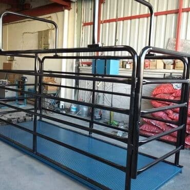 сдам контейнер на ортосайском рынке: Грузовые весы, Оплата наличными — 5