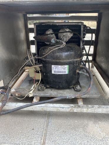 soyuducu et ucun: Soyuducu vitrin – 2,2–2,5 m ölçülü, qırmızı korpuslu, ön tərəfi əyri — 3