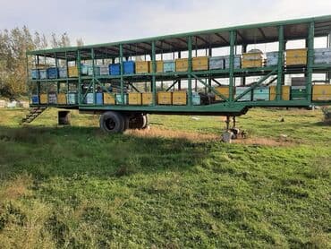 Akvariumlar: Köçəri arıçılıq üçün treylerlər və arıxana kompleksləri Məhsul — 8