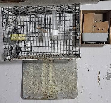 qara it sekilleri: Quş qəfəsləri və volyerlər dəsti - Böyük metal volyer: möhkəm məftil — 8