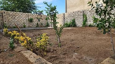 baki deniz kenari kiraye evler: Sea Breeze istirahet merkezine,aquaparka,lunaparka yaxin bag evi — 3