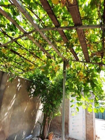 продажа земельных участков в баку: 6 соток, Для строительства — 8