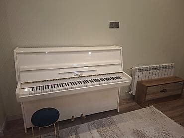 İdman və hobbi: Piano, Akkord, Akustik — 1