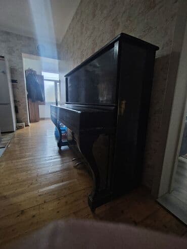 Velosiped aksesuarları: Piano, Akustik — 3