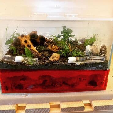 it üçün ev: Hər ölçüdə hər dizaynda qarışqa yuvaları yığılır səliqəli və təmiz — 16