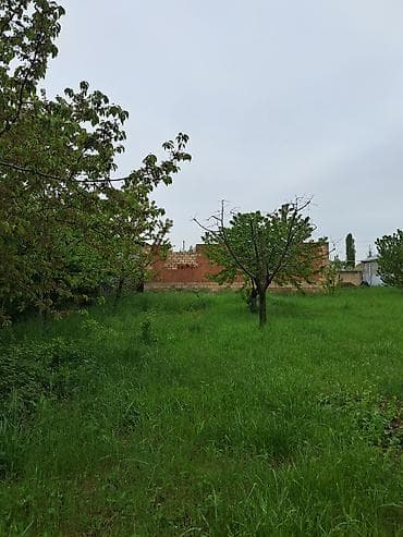 ag seher evler satilir: Alekseevka, 8 kv. m, 4 otaqlı, Qaz, İşıq, Su — 6
