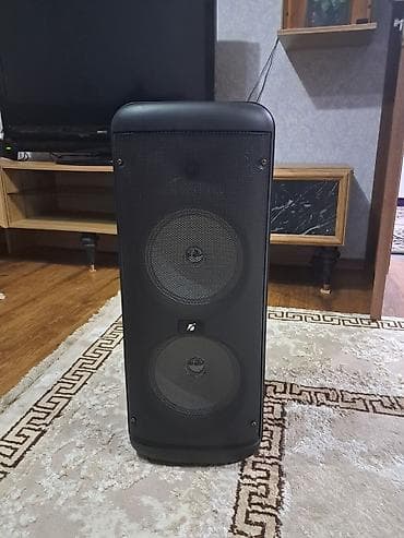 wi fi modem: KTS-1626 portativ akustik sistem - İki ədəd 8 düymlük (8"x2) — 1