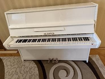 Piano, Belarus, Akustik