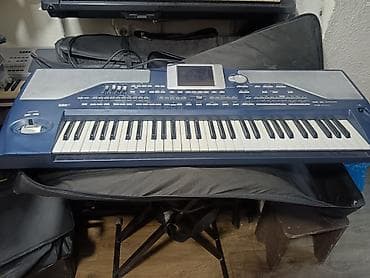 Korg pa 800 super vəziyyətdədi 2 versiya 256 ram üstündə ayaq çexol