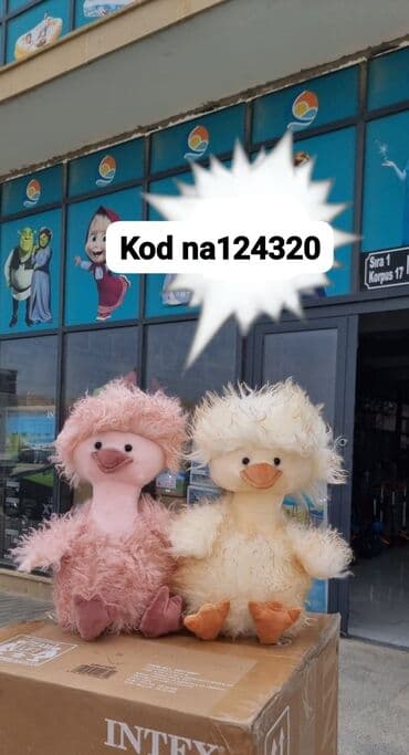 Oyuncaqlar: Oyuncaq ördək kodna124320 Diqqət Çatdırılma bir gün ərzində rayonlar