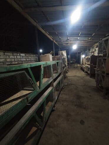 cucə su qabı: Dovsan qefesleri — 2