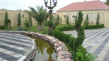 lipa ağacı: Dekarativ agaclarin satisi qazon torpaq torf diger gubrelerin satisi — 14