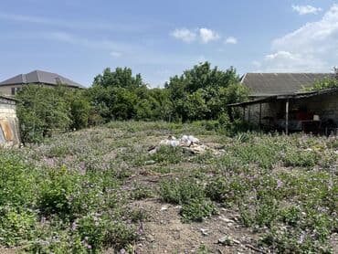 qara qarayev kiraye evler 2020: 6 sot, Tikinti, Mülkiyyətçi, Bələdiyyə — 2