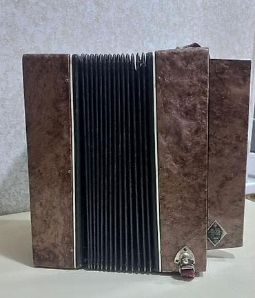 akardion: Akustik Akkordeon — 6