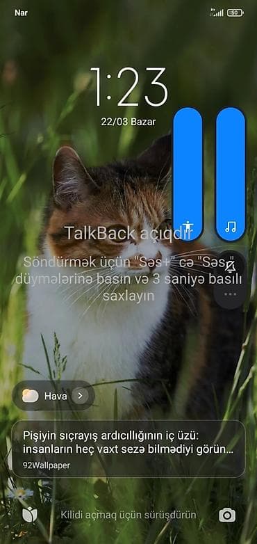 Sifarişlə əl işləri: Xiaomi smartfon üçün TalkBack köməkçi funksiyasının sazlanması və — 1