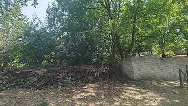 mida evlər: Ismayilli rayon Diyallı kəndində torpağ sahəsi satılır sənədi çıxarış — 6