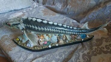 Sülhsevər, Ünvandan götürmə lalafo.az -da Sülhsevər, Ünvandan götürmə