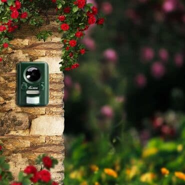 siçan zeheri: Rayonlara çatdırılma, Pulsuz çatdırılma — 7