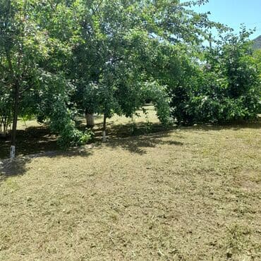 lalafo долгосрочная аренда квартир: 250 м², 5 комнат, Комби, Газ, Электричество — 26