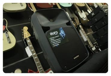 ses ucaldici: Kalonka Samson auro d210 aktiv speaker Amerikanin Samson firmasina — 2