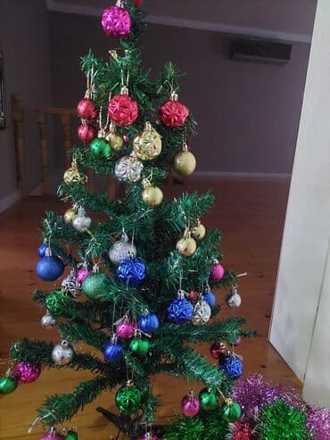 yolka gence: Tezedi qiy 10m — 2