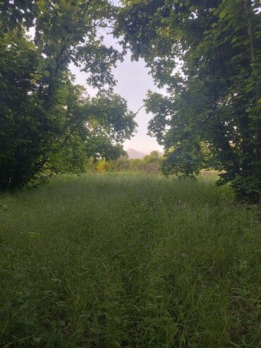 дом в баку купить: 20 соток, Для сельского хозяйства, Возможен обмен, Купчая — 5