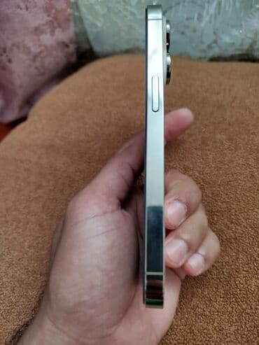 телефон fly fs457 nimbus 15: IPhone 14 Pro, 256 ГБ, Серебристый, Face ID — 1