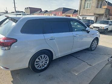 dirək: Toyota Corolla Fielder (hybrid) universal - Ban növü: universal — 7