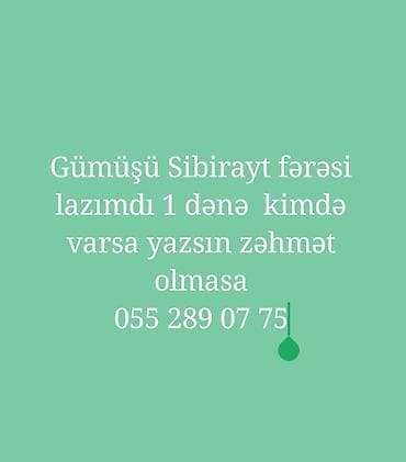 Toyuqlar lalafo.az -da Toyuqlar