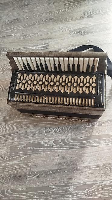 Akustik Akkordeon, İşlənmiş — 5