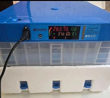 ExPerT inkubatoru 64 Yumurtaliq Tam avtomat 95 faiz cixis verir 1