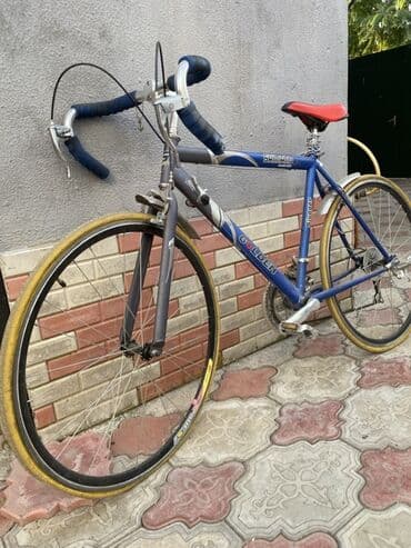 азербайджанский язык книга 5 класс: Golden bike “SHİMANO” raceing bike Orginal italyadan gətirilmə “ — 2