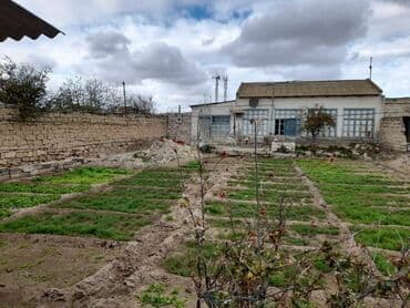 ferma torpaq: 6 sot, Makler, Bələdiyyə — 1