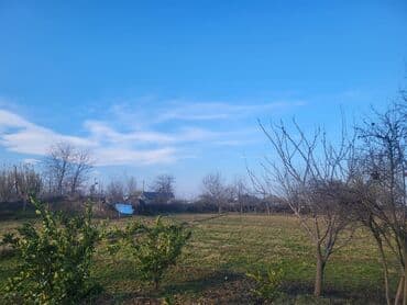 Daewoo: 42 соток, Для бизнеса, Собственник, Купчая — 4